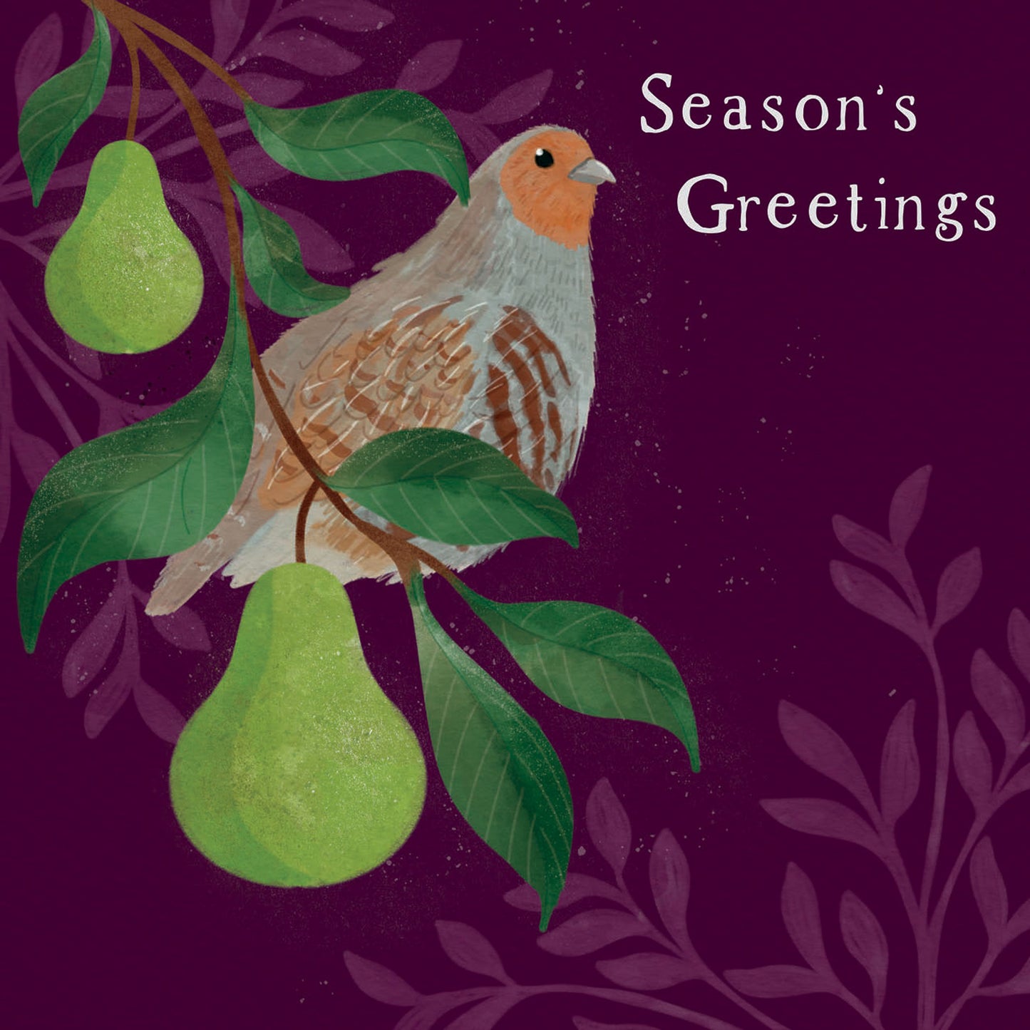 RSPB Small Square Christmas Cards (10 Cards) - Partridge in a Pear Tree