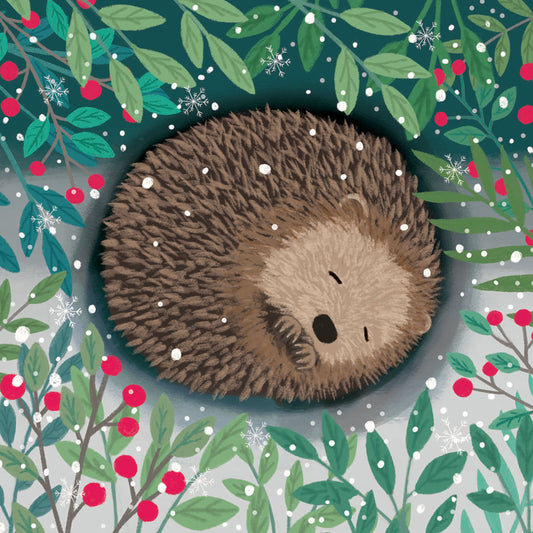 RSPB Small Square Christmas Cards (10 Cards) - Hibernating Hedgehog