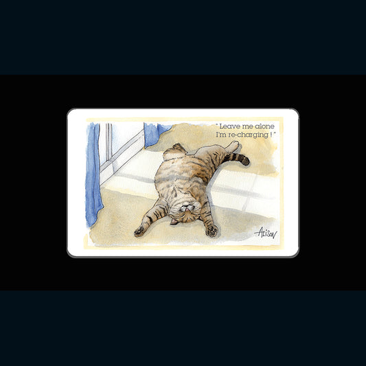 FRIDGE MAGNET - Alisons Animals - Leave me alone (Splimple)