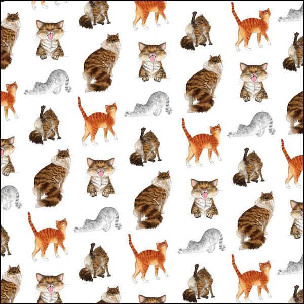 GIFT WRAP - Alisons Animals - Cat (Splimple)