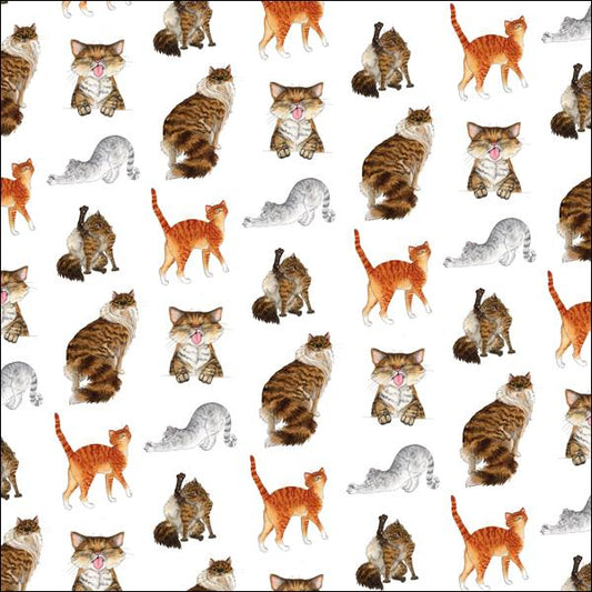 GIFT WRAP - Alisons Animals - Cat (Splimple)