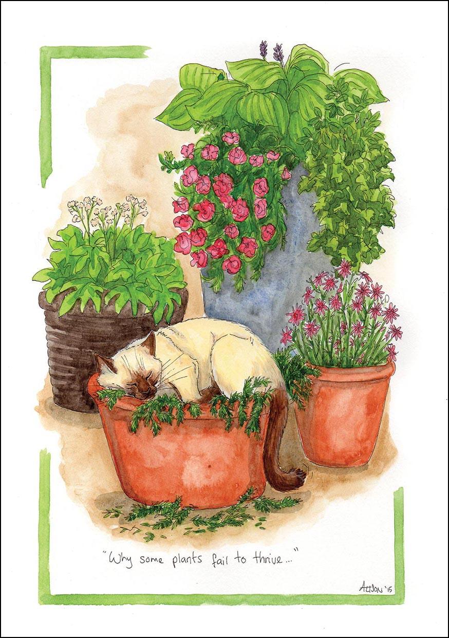 Alison's Animals Card - Why some plants fail to thrive (Splimple - 150x210mm)