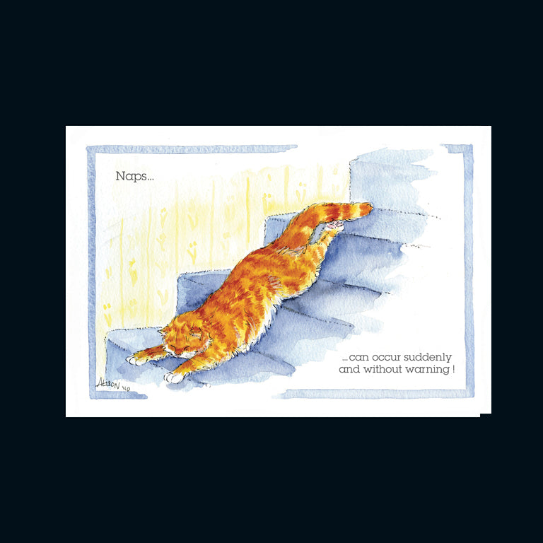 Alison's Animals Card - Naps can occur suddenly (Splimple - 150x210mm)