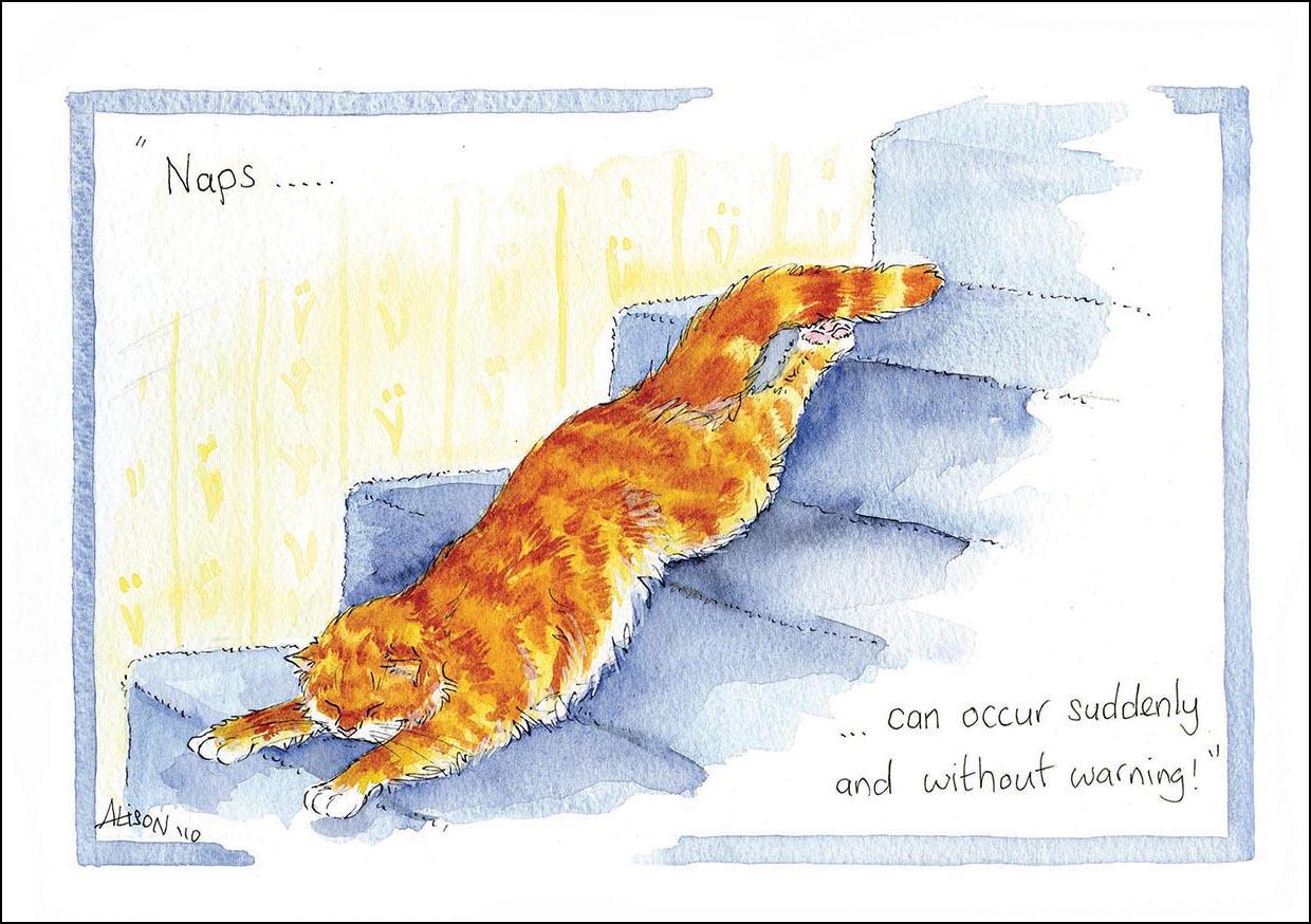 Alison's Animals Card - Naps can occur suddenly (Splimple - 150x210mm)