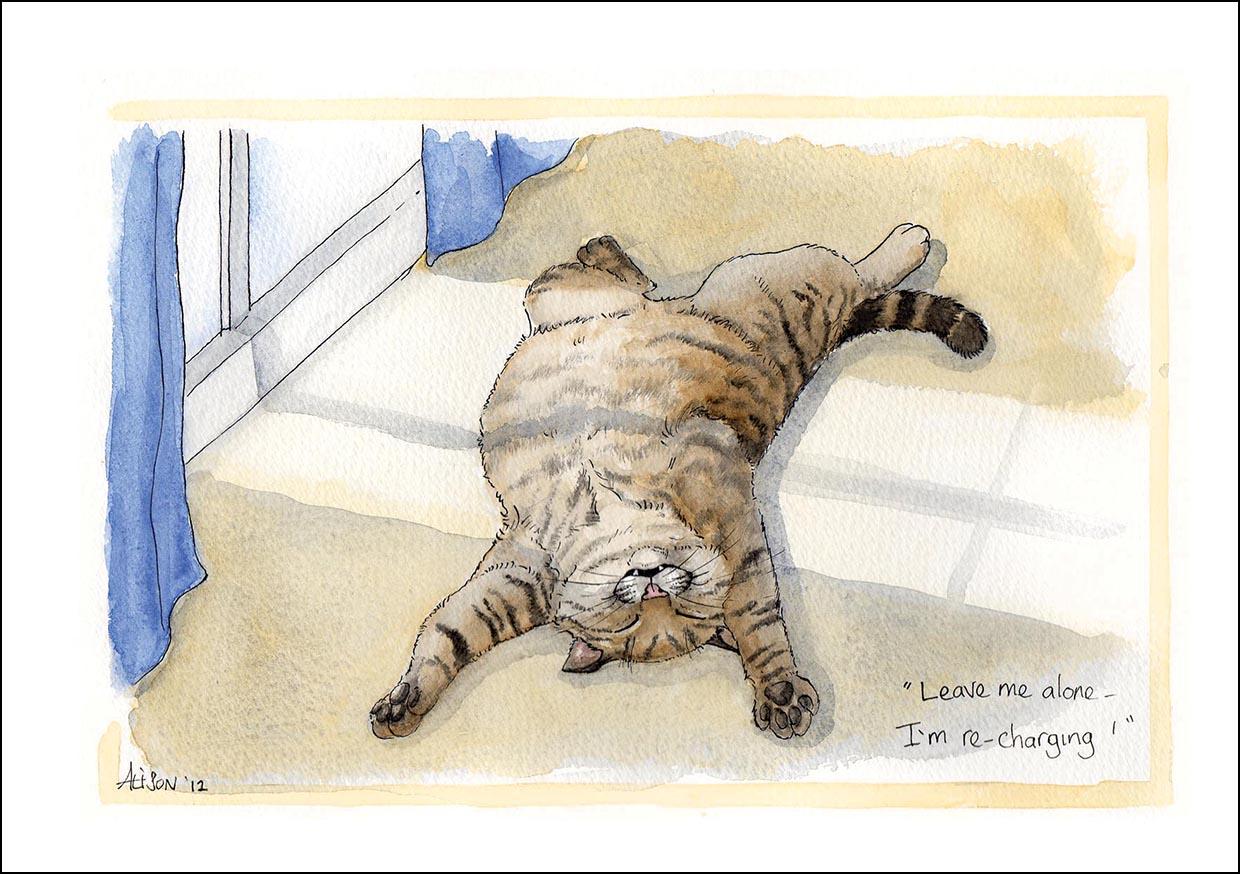 Alison's Animals Card - I'm recharging (Splimple - 150x210mm)