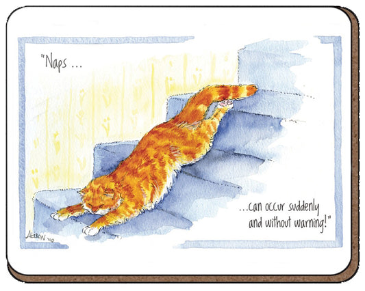 COASTER - Alison's Animals - Naps can occur (Splimple)