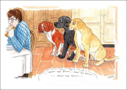 Alison's Animals Card - Drop the bacon (Splimple - 150x210mm)