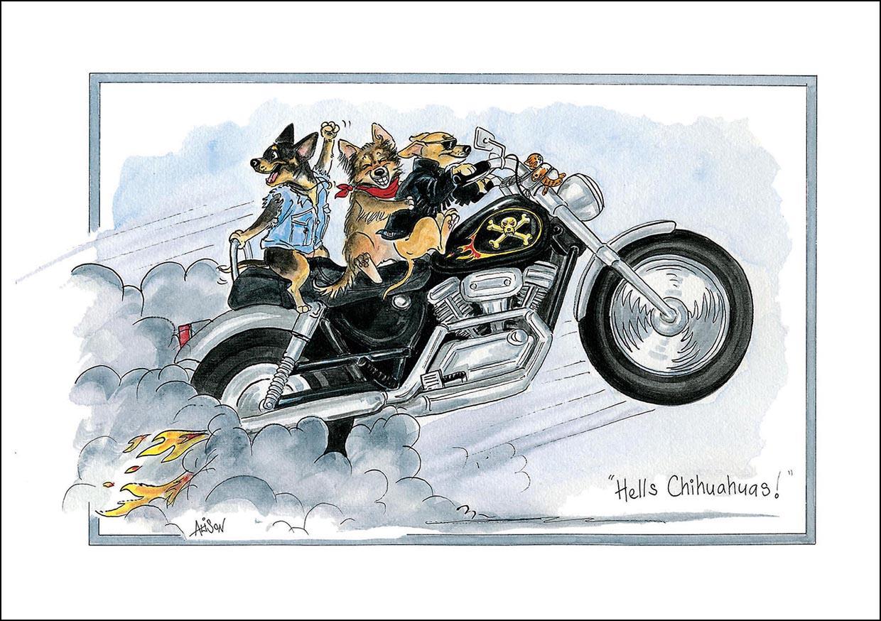 Alison's Animals Card - Hell's chihuahuas (Splimple - 150x210mm)