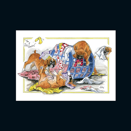 Alison's Animals Card - The joy of socks (Splimple - 150x210mm)