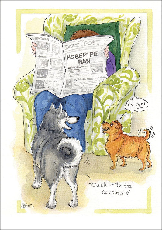 Alison's Animals Card - Hosepipe ban (Splimple)