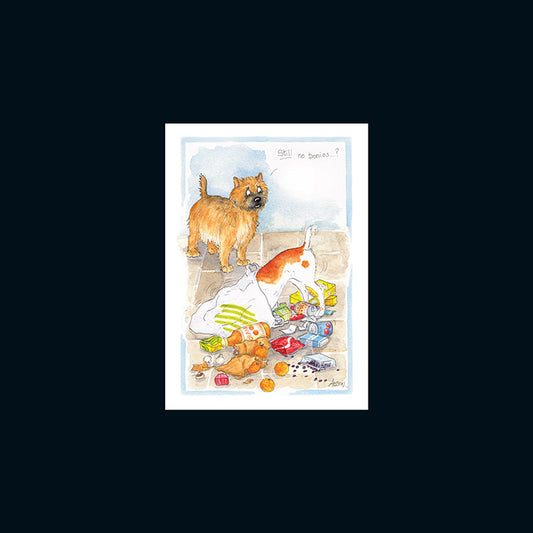 Alison's Animals Card - Still no bonios ?? (Splimple - 150x210mm)