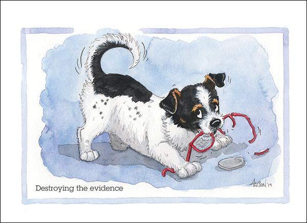 Alison's Animals Card - Destroying the evidence (Splimple - 150x210mm)