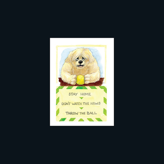 Alison's Animals Card - Throw the ball (Splimple - 150x210mm)