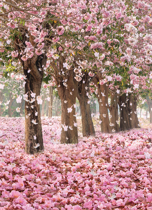 Beautiful Blanks Card - Blossom Trees