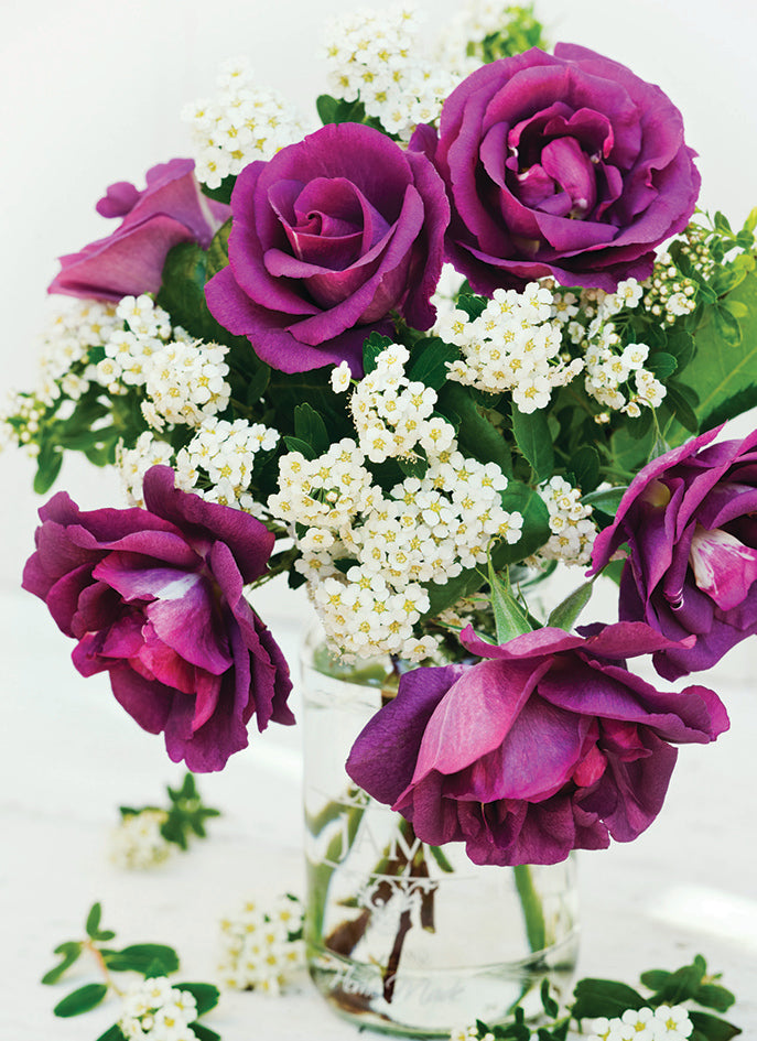 Beautiful Blanks Card - Purple Roses In Vase