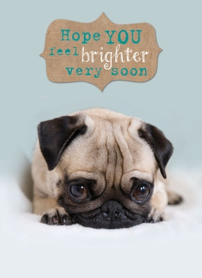 Get Well Soon Card - Cute Pug