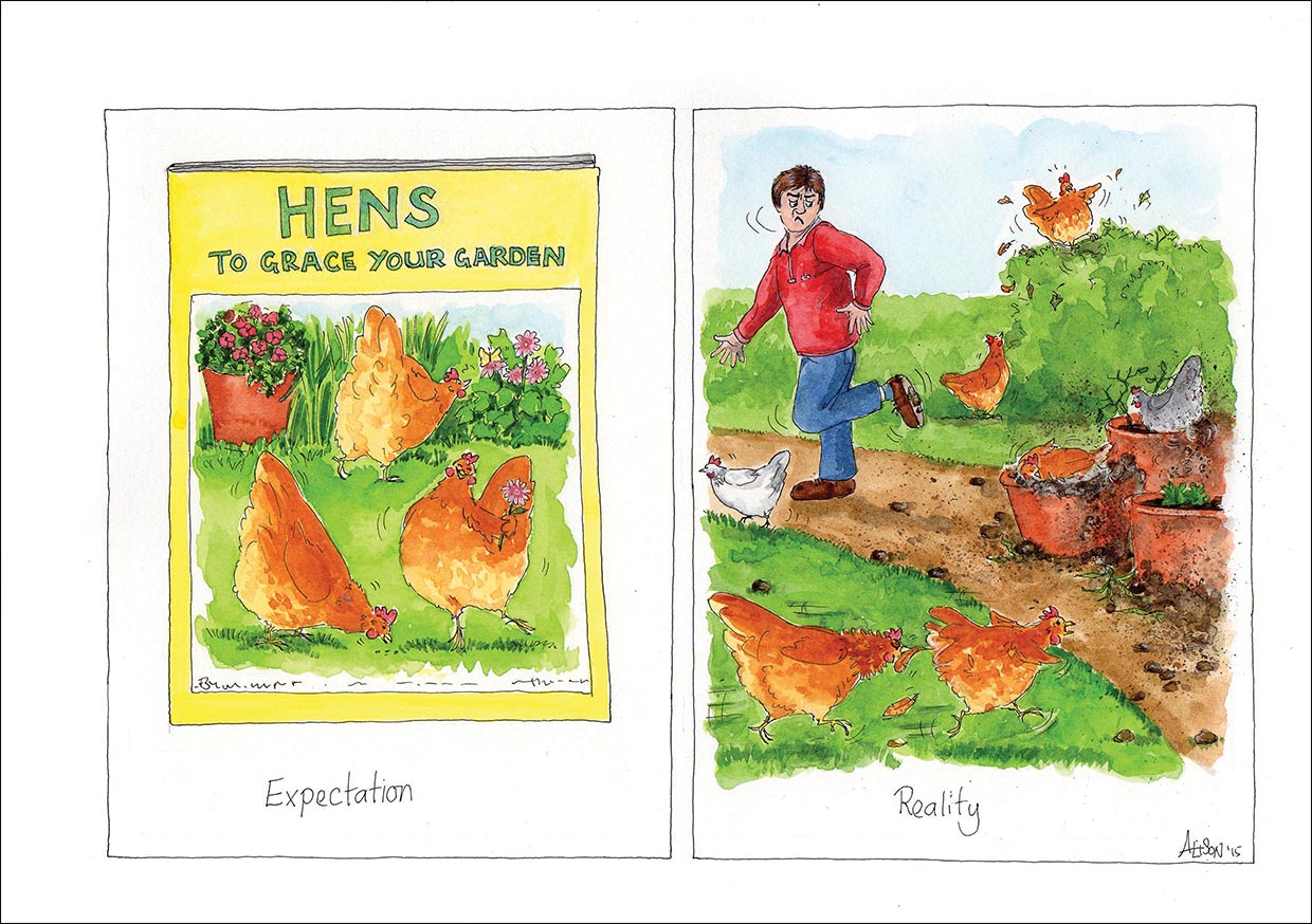 Alison's Animals Card - Hens: the untold truth (Splimple - 150x210mm)