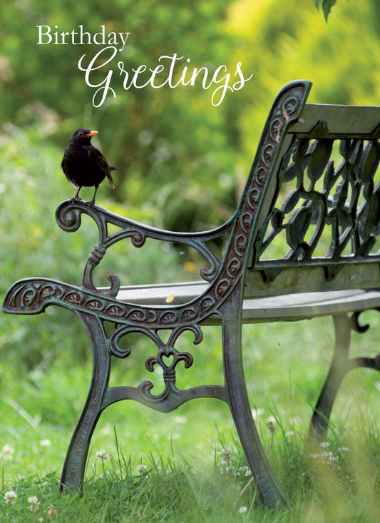 Floral Birthday Card - Blackbird On Bench