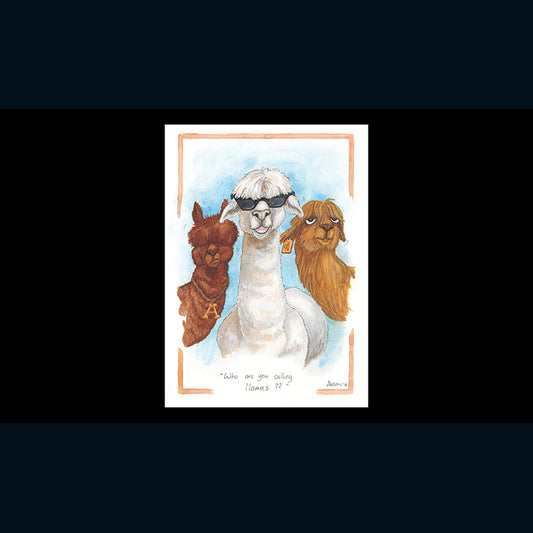 Alison's Animals Card - Who are you calling Llamas? (Splimple - 150x210mm)