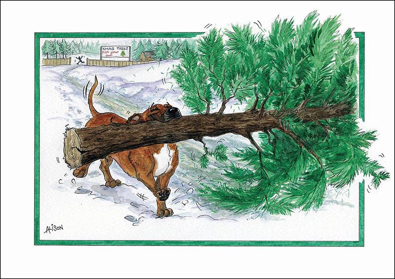 XMAS CARD - Alisons Animals - Pick your own (Splimple)